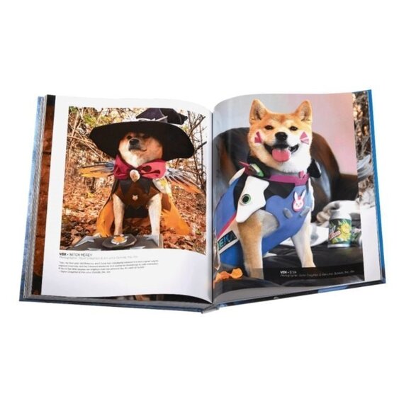 🔮 2 For $40 🔮 Blizzard - Cosplay: Tips, Tricks and Hints Hardcover - Picture 5 of 9